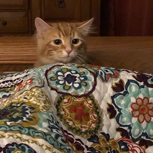 Meet your Posher, Lori